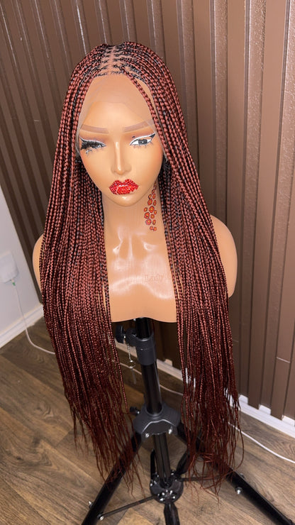 Color 350 knotless braided wig