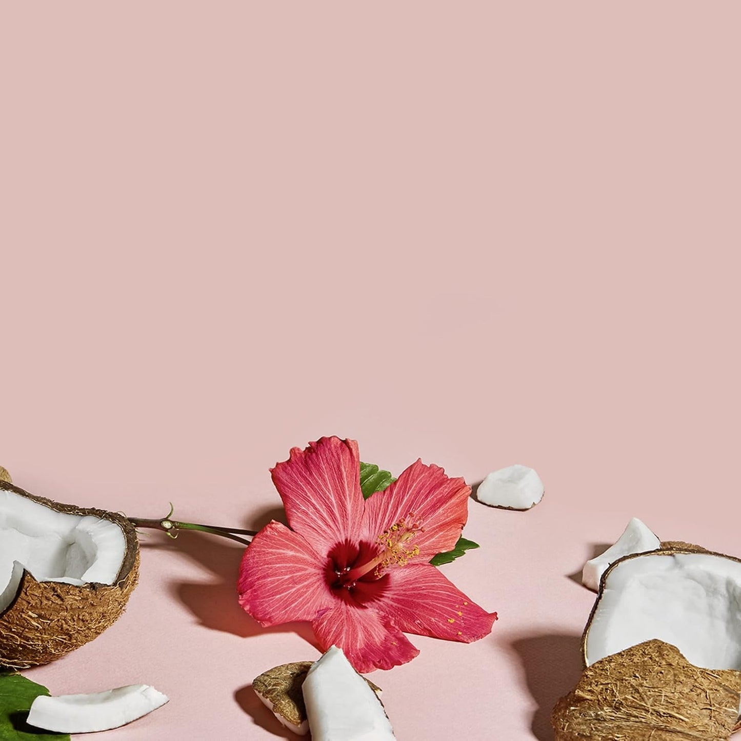 Shea moisture coconut hibiscus curl & shine shampoo